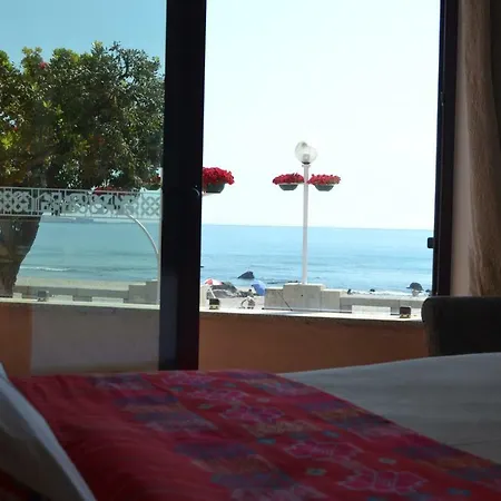 D'avenida Albergue *