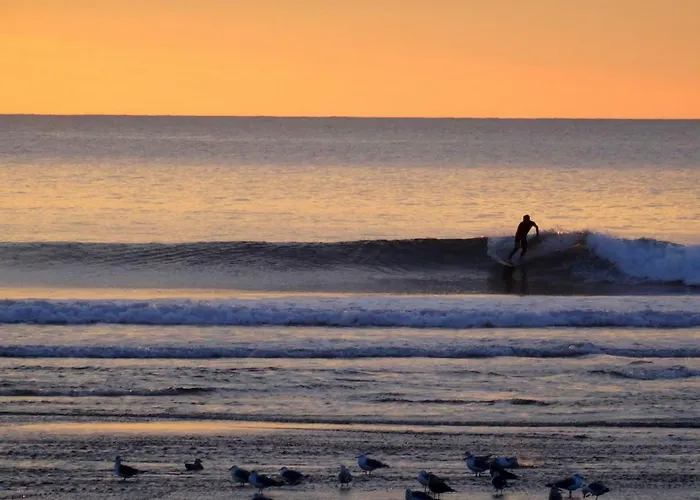 Vandrerhjem D'avenida Vila Praia de Âncora